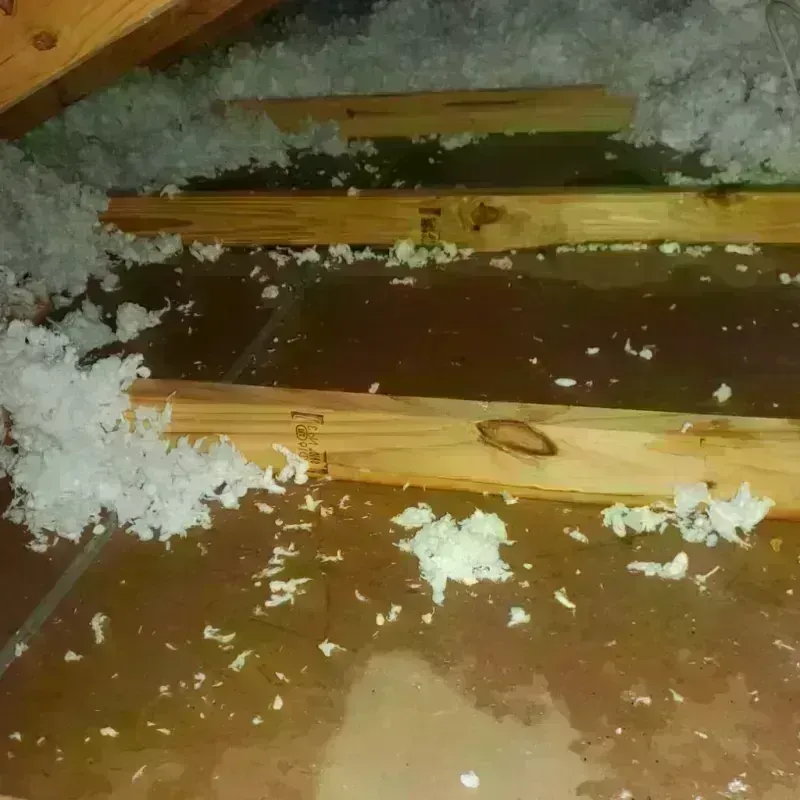 Attic Water Damage in Welsh, LA